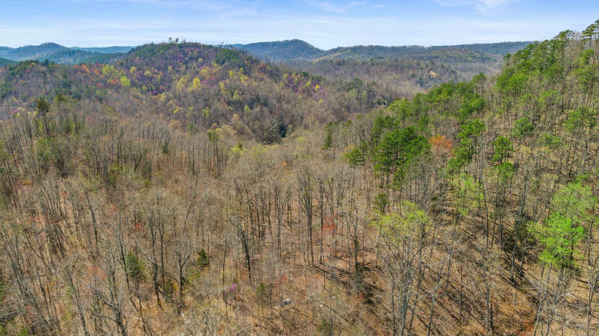 0 Harrison Pike Southwest McDonald, TN 37353 - Photo 19 of 26