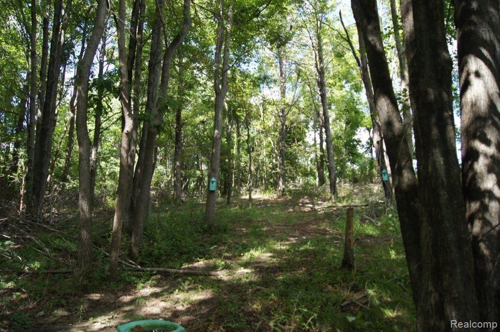 5643 Ewalt Road Imlay City, MI 48444 - Photo 28 of 29 5643 Ewalt (6).jpg