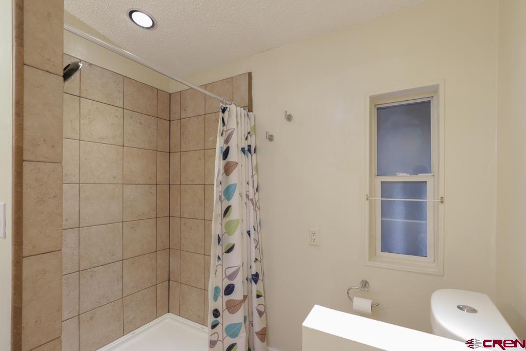 22 Huckleberry Lane Durango, CO 81301 - Photo 12 of 24 a bathroom with a shower a toilet and a sink