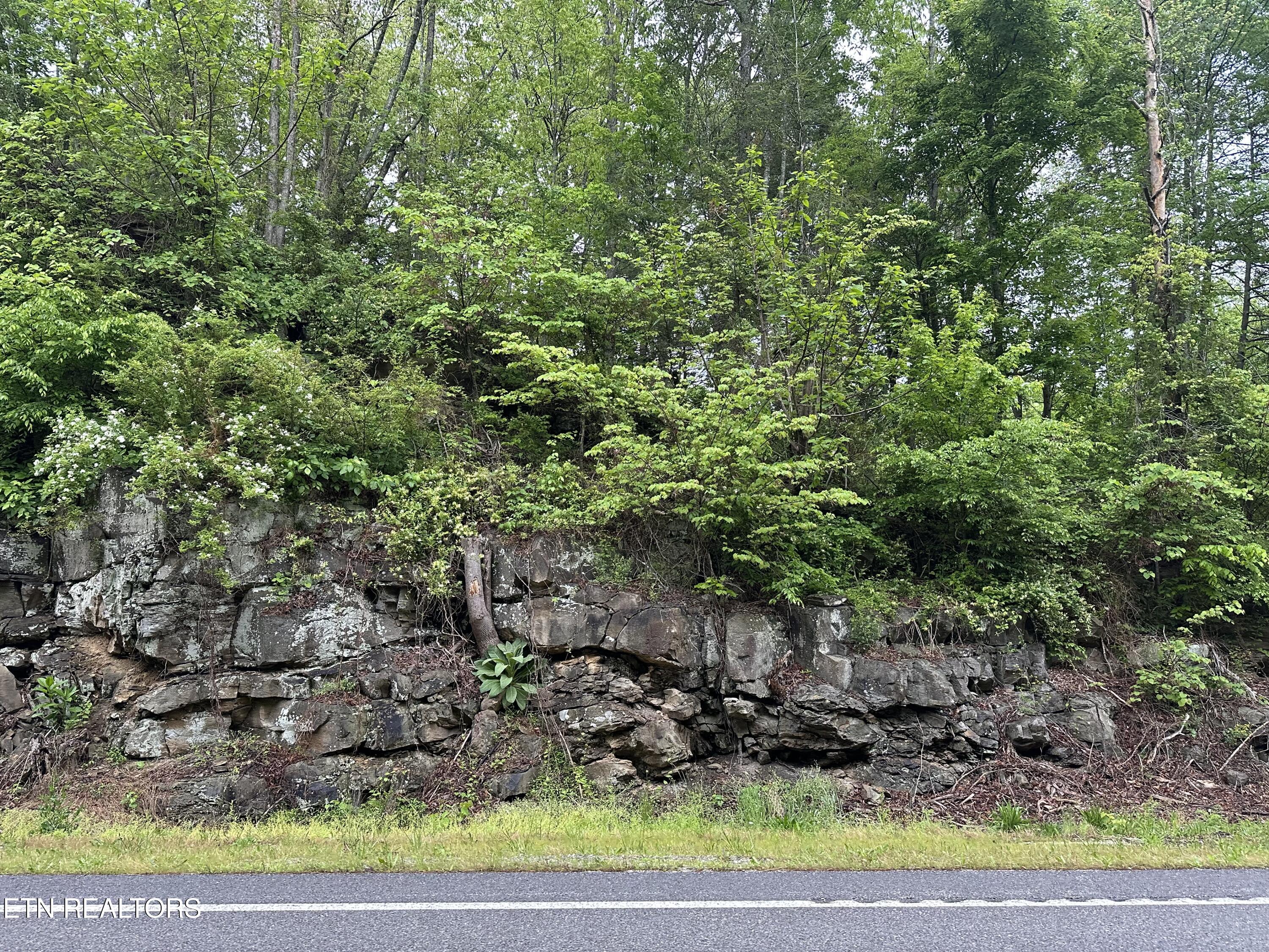 8472 Highway 25 Duff, TN 37729 - Photo 13 of 13 IMG_5110