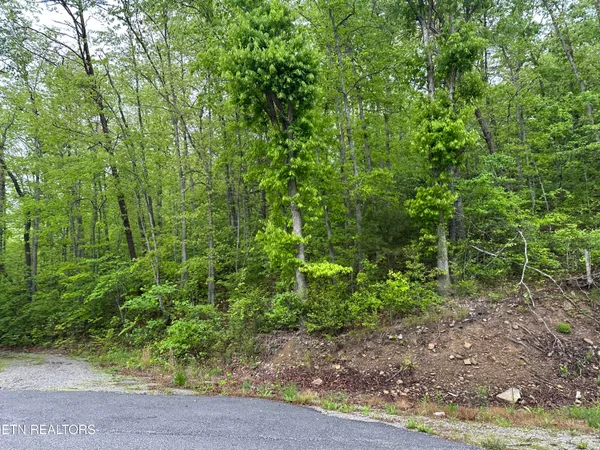 $39,500 | 8472 Highway 25, Duff, TN 37729