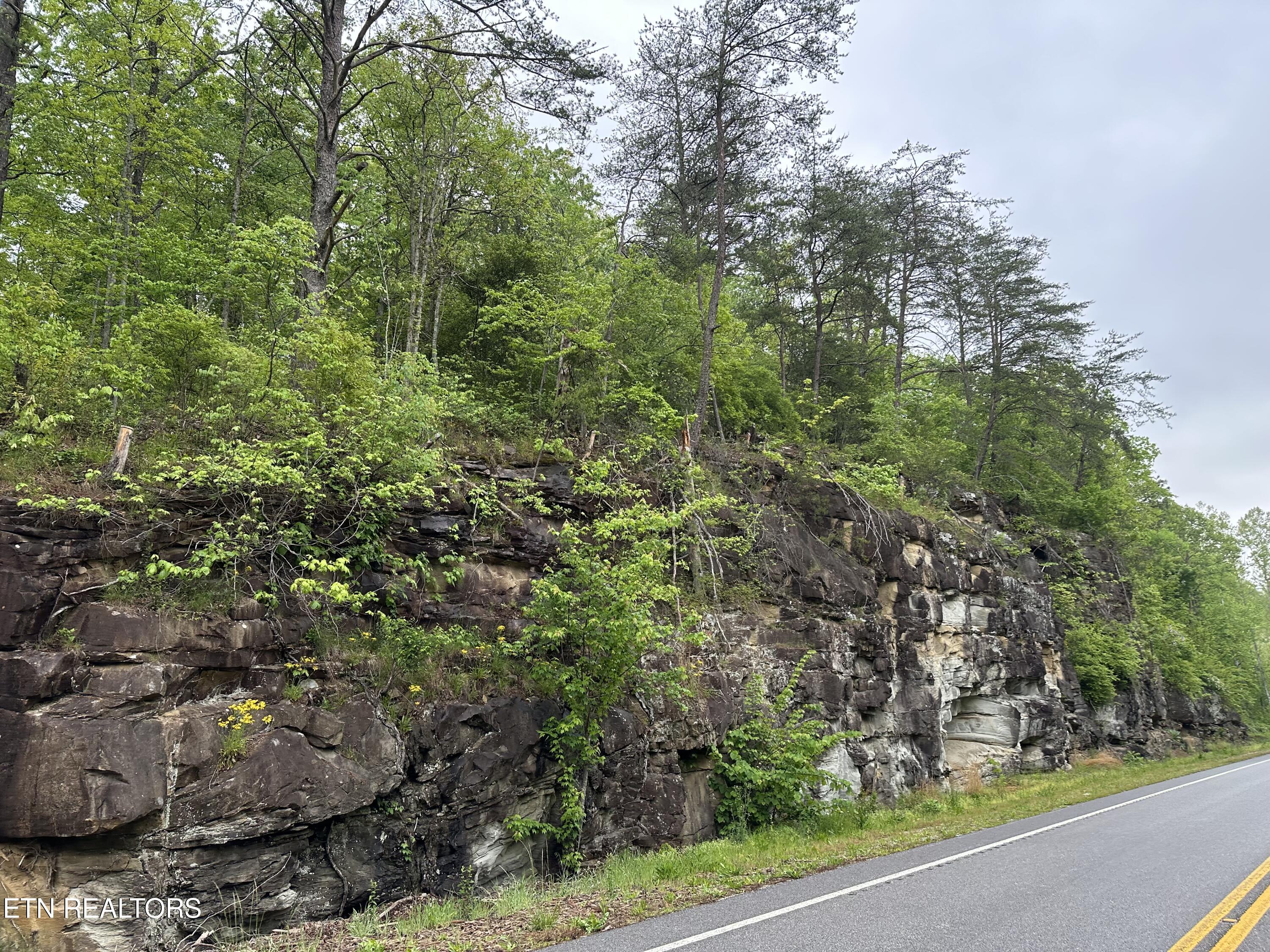 8472 Highway 25 Duff, TN 37729 - Photo 3 of 13 IMG_5108