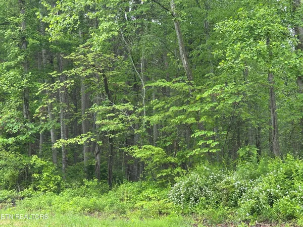 $39,500 | 8472 Highway 25, Duff, TN 37729