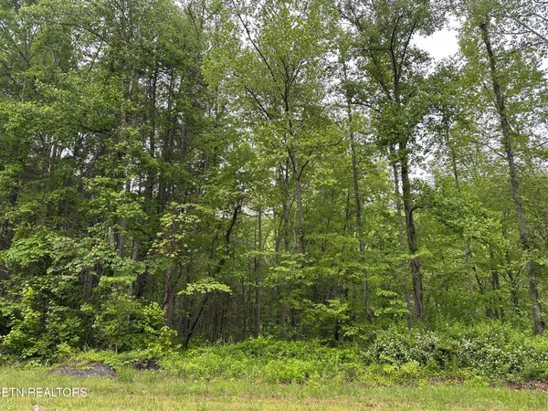 $39,500 | 8472 Highway 25, Duff, TN 37729