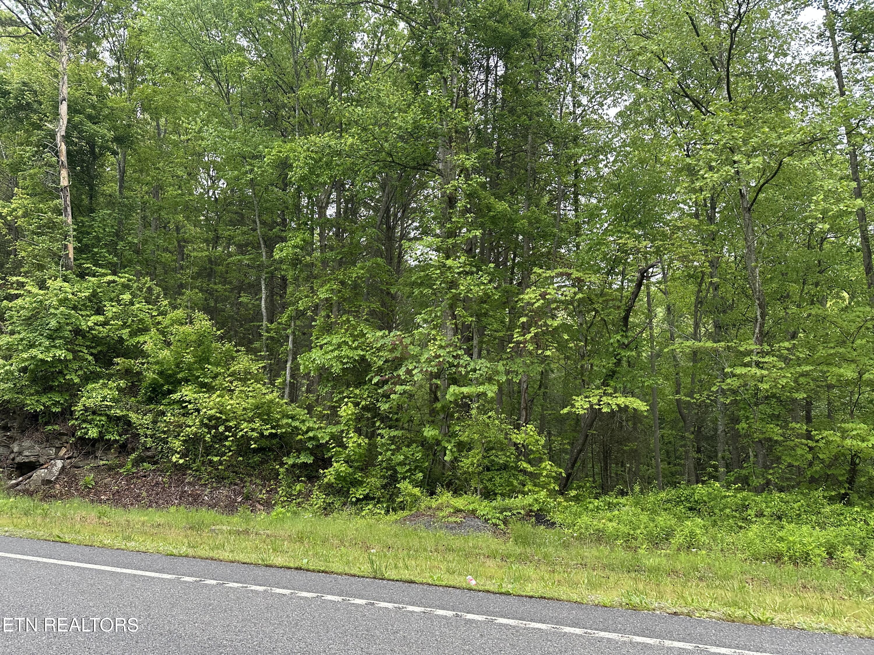 8472 Highway 25 Duff, TN 37729 - Photo 6 of 13 IMG_5111