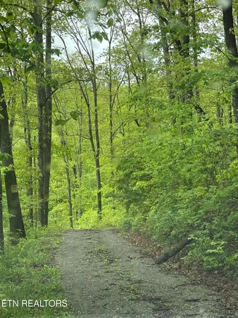 $39,500 | 8472 Highway 25, Duff, TN 37729