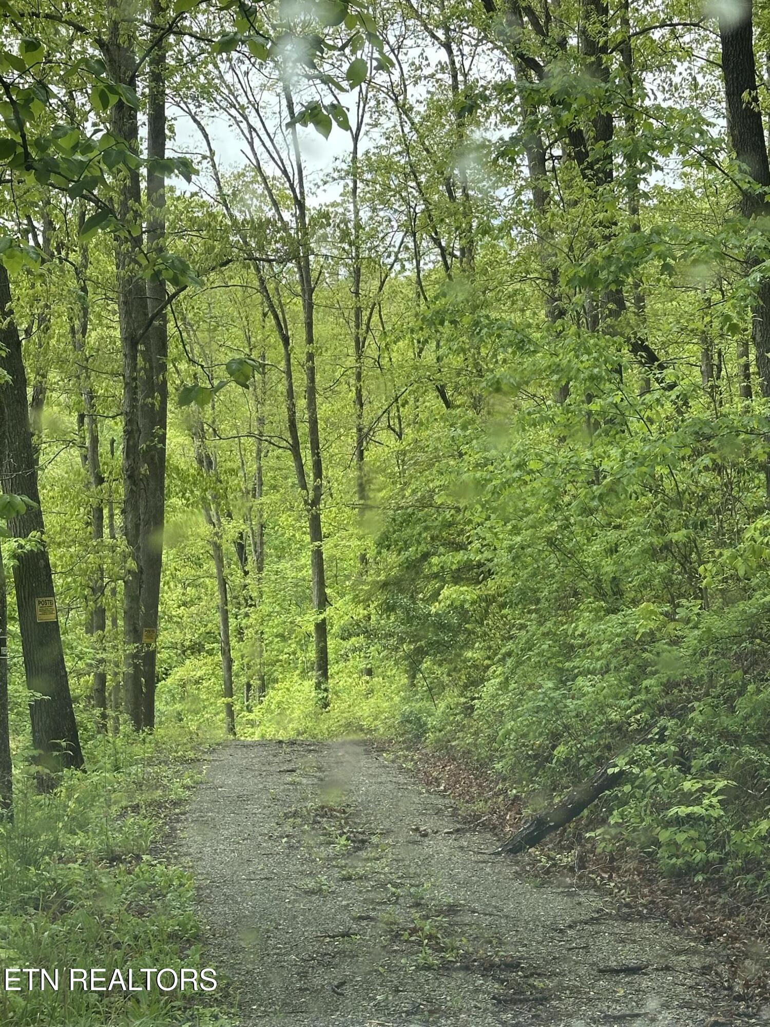 8472 Highway 25 Duff, TN 37729 - Photo 7 of 13 IMG_4996