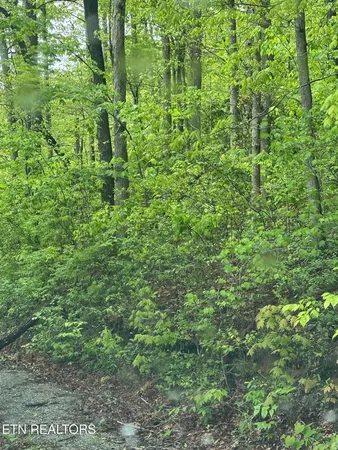 $39,500 | 8472 Highway 25, Duff, TN 37729