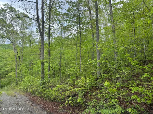 $39,500 | 8472 Highway 25, Duff, TN 37729