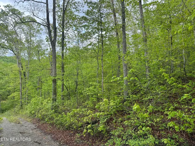 $39,500 | 8472 Highway 25, Jellico, TN 37762