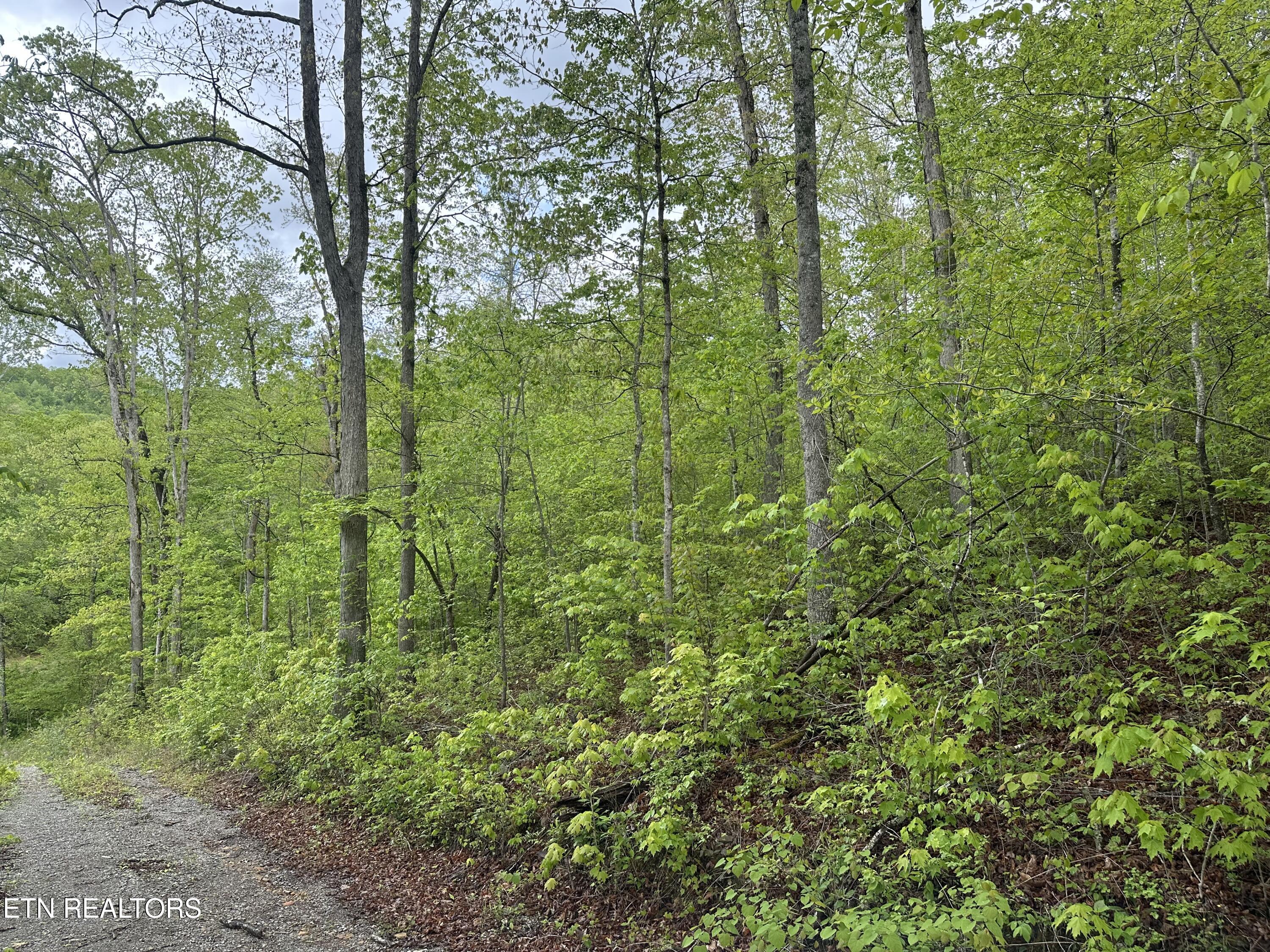 8472 Highway 25 Duff, TN 37729 - Photo 9 of 13 IMG_4998