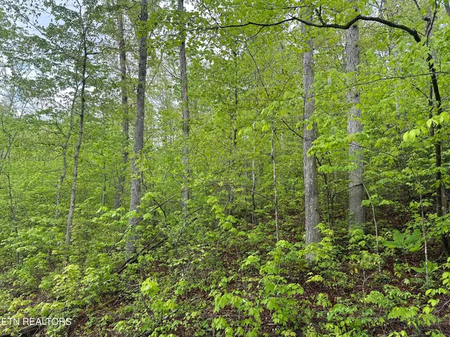 $39,500 | 8472 Highway 25, Jellico, TN 37762