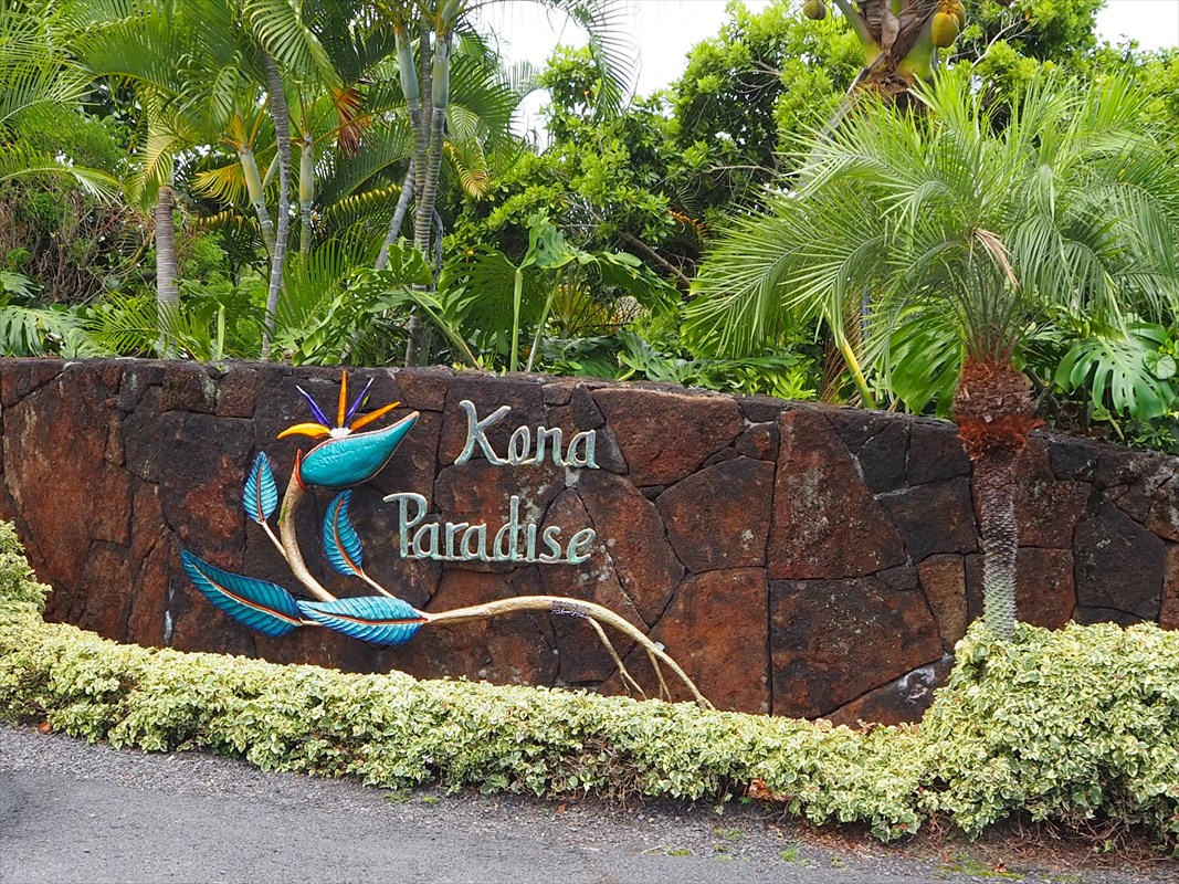 a view of sign board