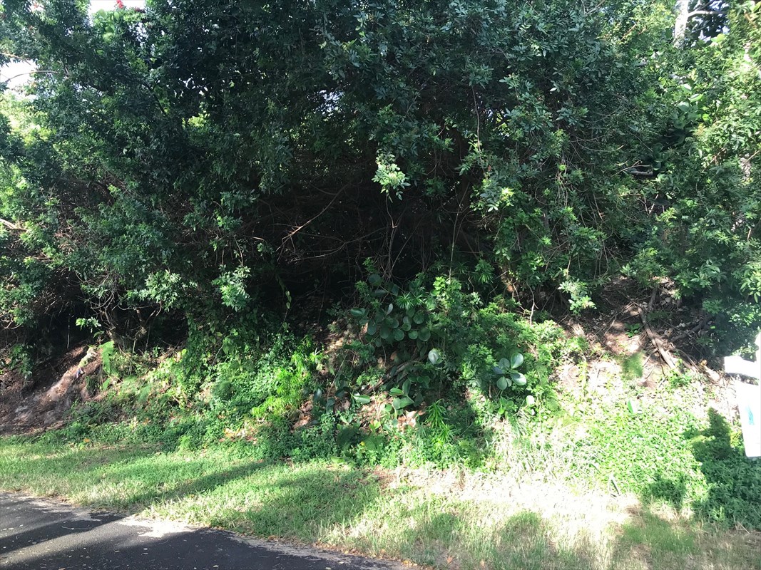 90 Datura Road Captain Cook, HI 96704 - Photo 11 of 15 a backyard of a house with lots of green space and garden