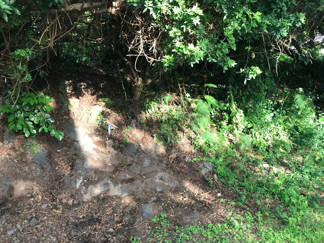 90 Datura Road Captain Cook, HI 96704 - Photo 12 of 15