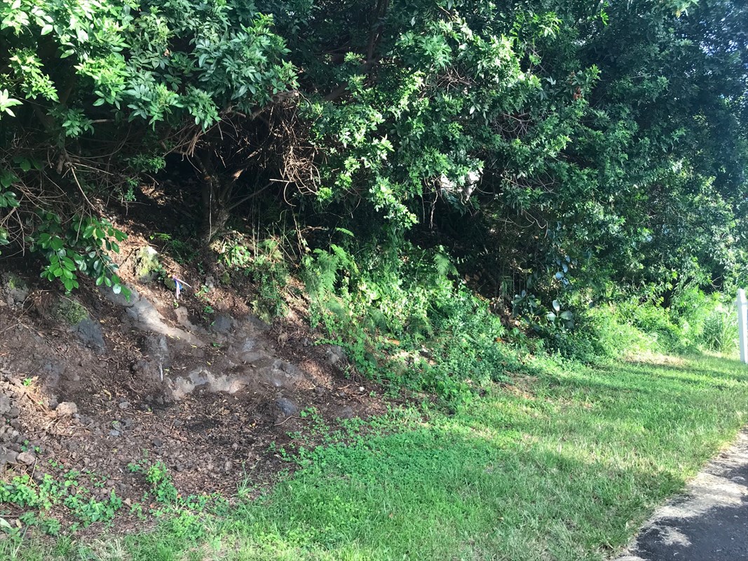 90 Datura Road Captain Cook, HI 96704 - Photo 15 of 15 a backyard of a house with lots of plants and trees