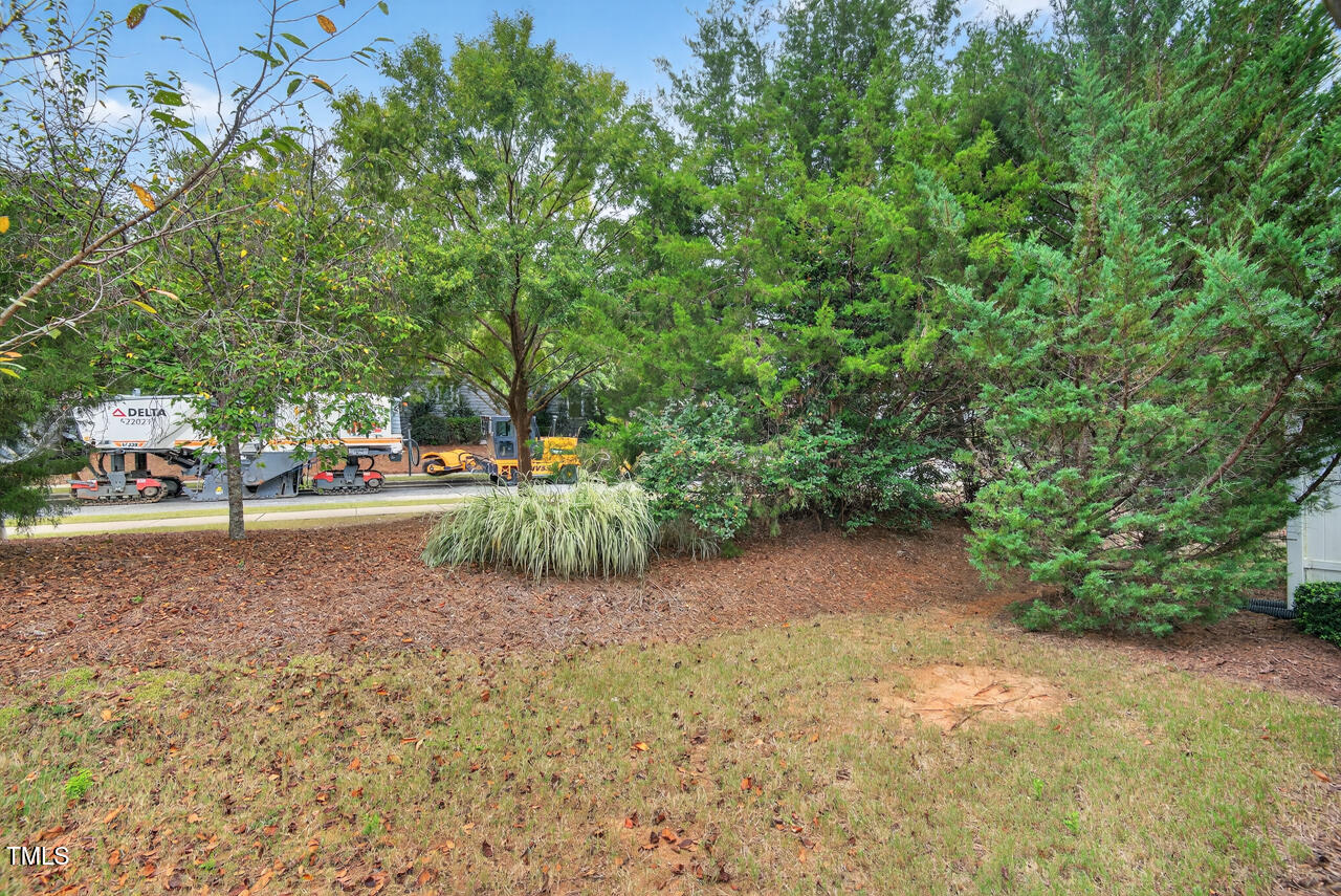 127 Willow View Lane Apex, NC 27539 - Photo 35 of 39 a view of green field with trees
