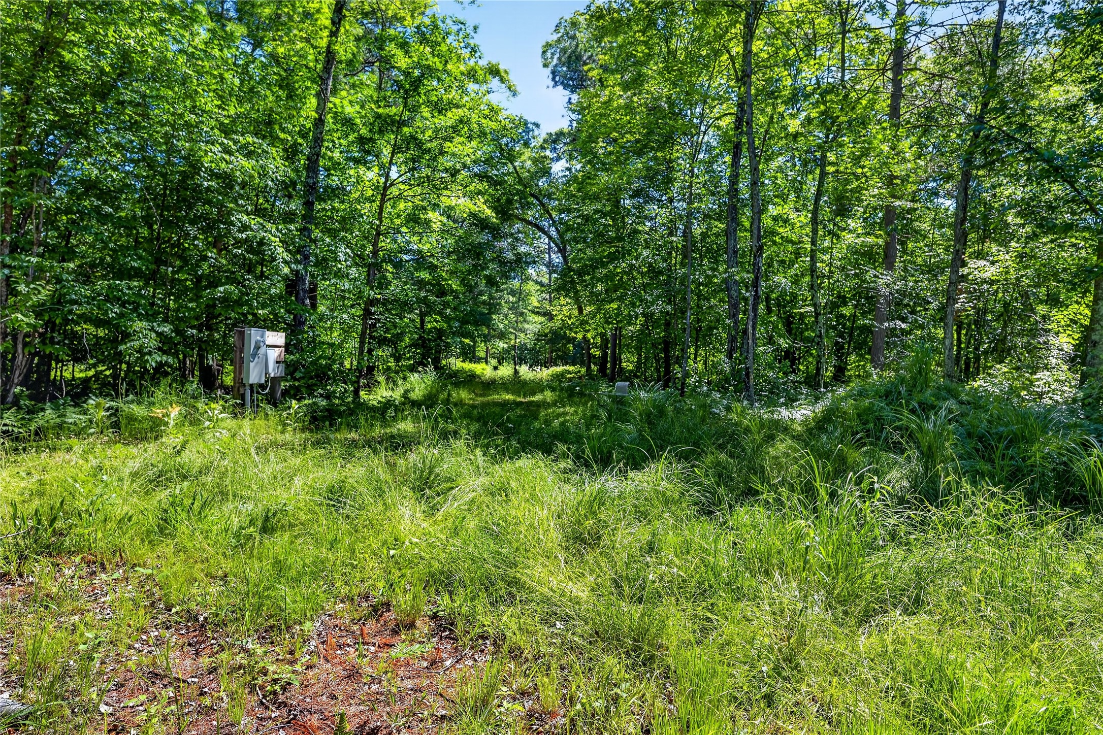 8.92-acres Little Valley Road Spooner, WI 54801 - Photo 8 of 29