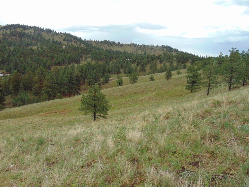 Tbd Shady Spring Lane Cascade, MT 59421 - Photo 33 of 78 Gallery Image 33
