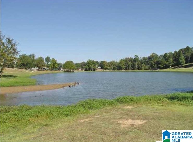 608 Parkside Circle Helena, AL 35080 - Photo 27 of 28