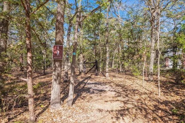 a view of a yard with trees