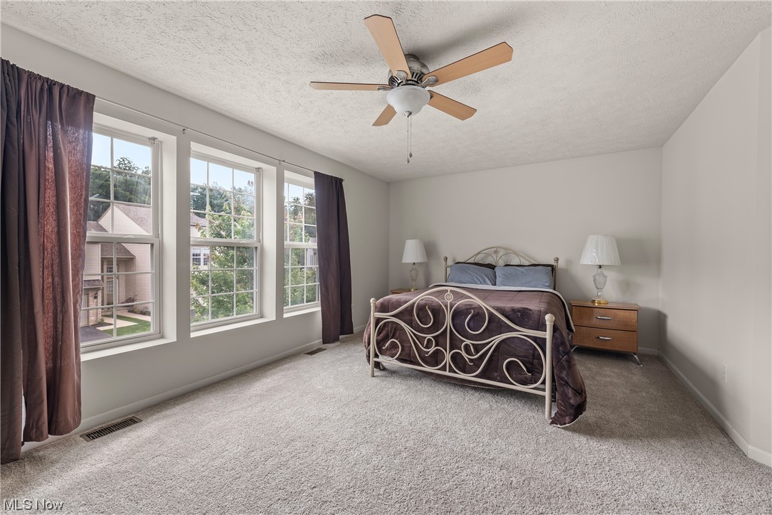 3967 Gardiner Run Akron, OH 44321 - Photo 21 of 35 Carpeted master bedroom with ceiling fan and a textured ceiling