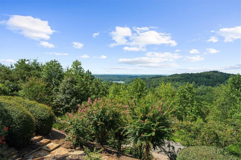 5739 Ridgewater Circle Gainesville, GA 30506 - Photo 14 of 93 a view of a bunch of trees