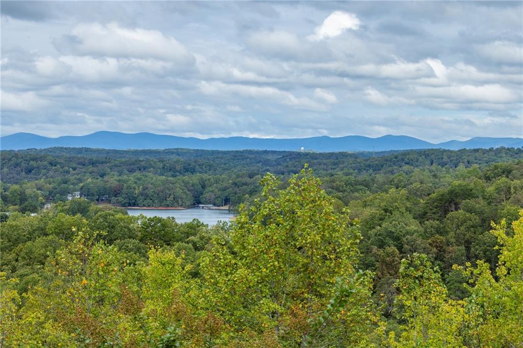 5739 Ridgewater Circle Gainesville, GA 30506 - Photo 7 of 93 a view of a lush green hillside and a houses