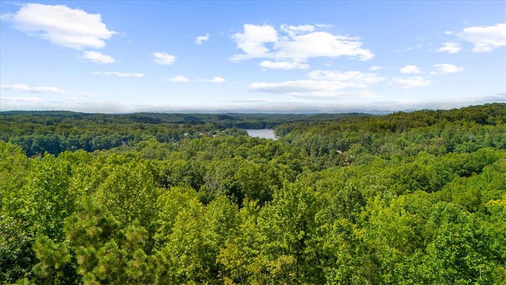 5739 Ridgewater Circle Gainesville, GA 30506 - Photo 86 of 93