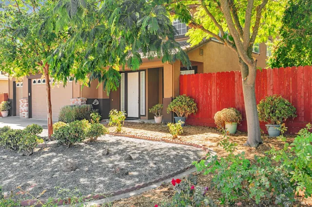 a view of a backyard with large trees and plants