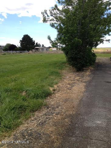 910 Willowlawn Road Yakima, WA 98908 - Photo 36 of 39 a view of a large trees with grassy field