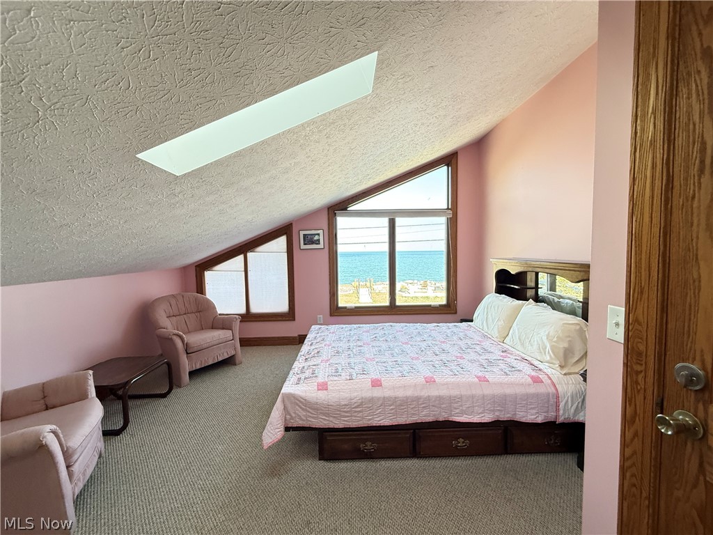 337 Cedar Point Road Sandusky, OH 44870 - Photo 27 of 50 Bedroom with a skylight and carpet flooring