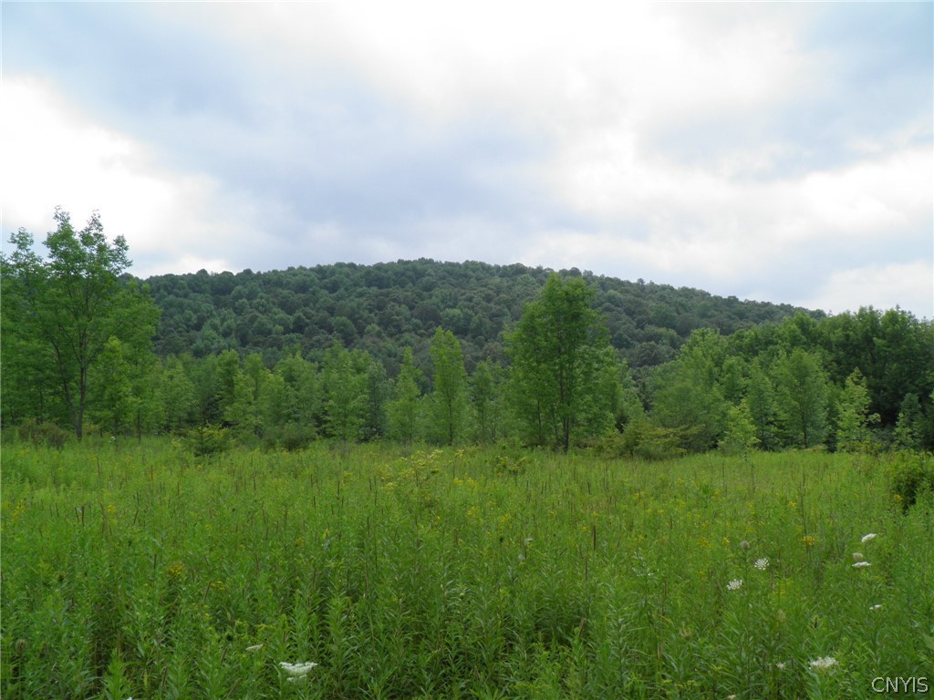 0 Lane Hill Road De Ruyter, NY 13052 - Photo 1 of 1 View South from Road