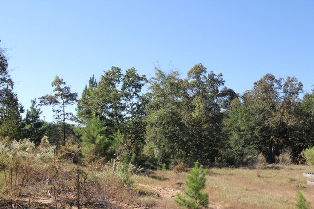 2979 Old Lodge Road Hephzibah, GA 30815 - Photo 3 of 10