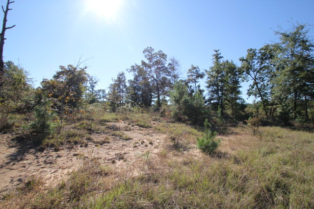 2979 Old Lodge Road Hephzibah, GA 30815 - Photo 4 of 10