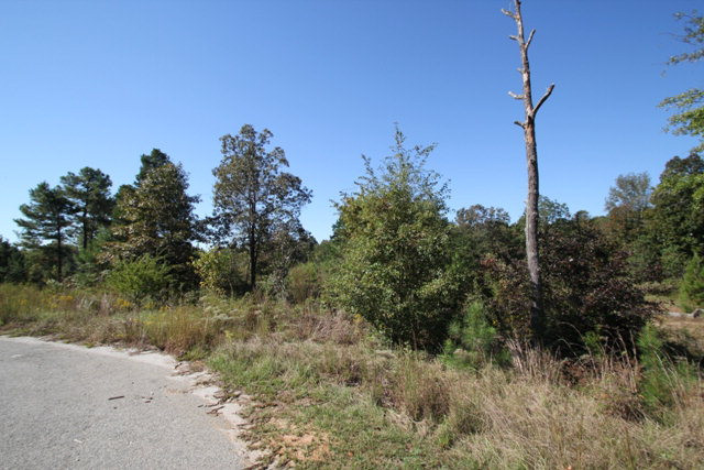 2979 Old Lodge Road Hephzibah, GA 30815 - Photo 8 of 10