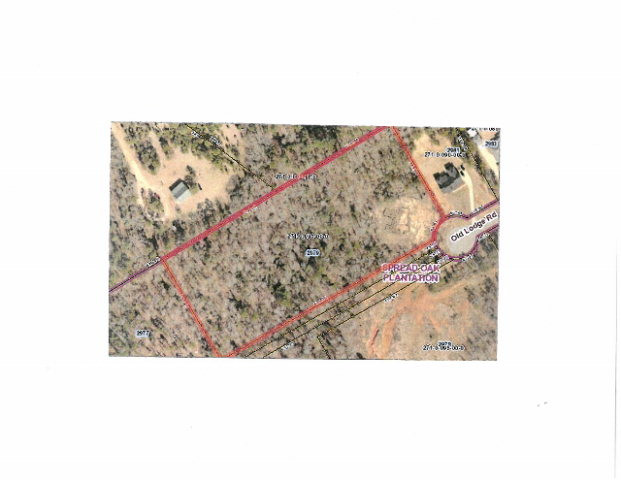 2979 Old Lodge Road Hephzibah, GA 30815 - Photo 10 of 10