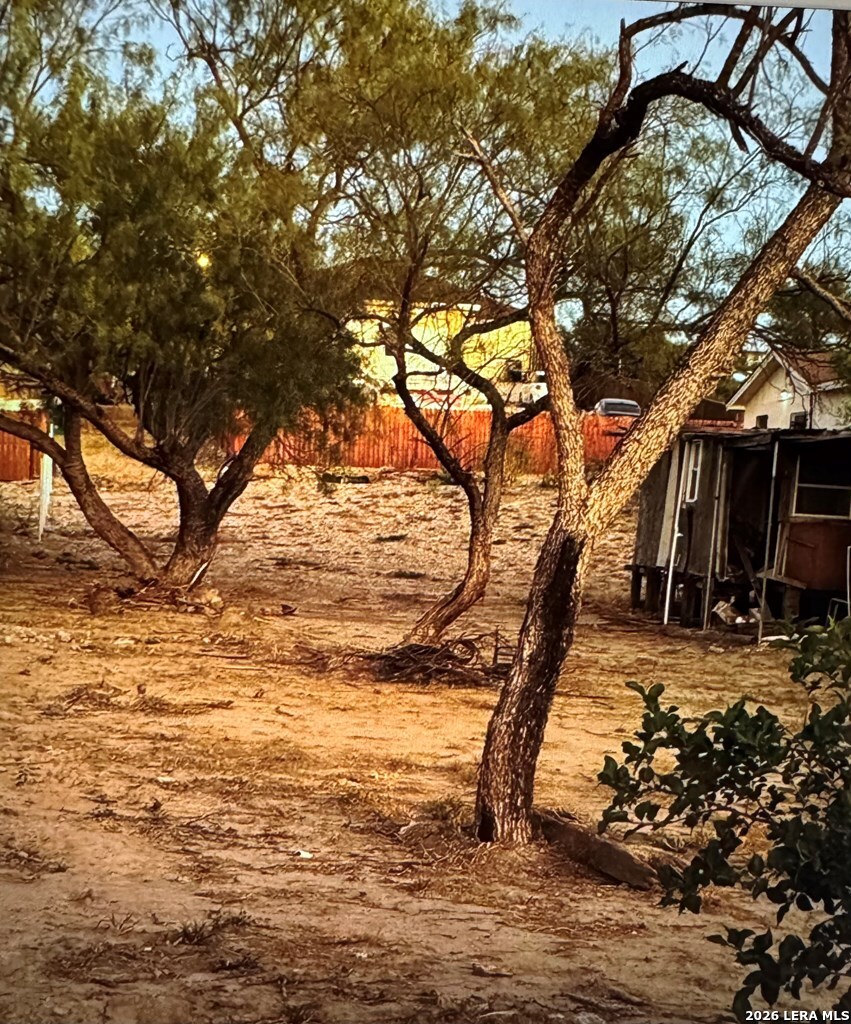 1080 Progreso Street Eagle Pass, TX 78852 - Photo 4 of 4