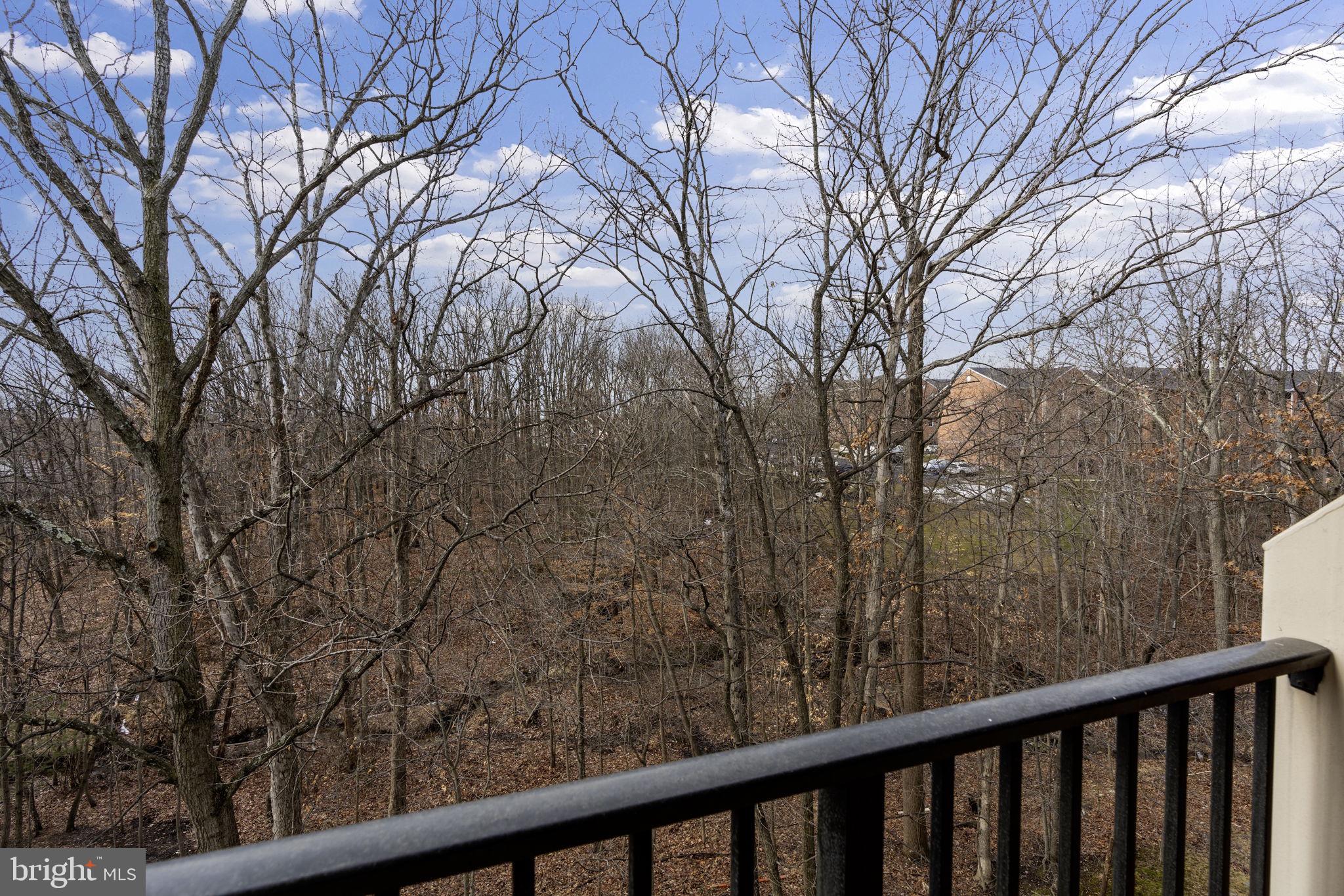 3901 Darleigh Road, Unit 3G Baltimore, MD 21236 - Photo 40 of 41 a balcony with trees in front of it