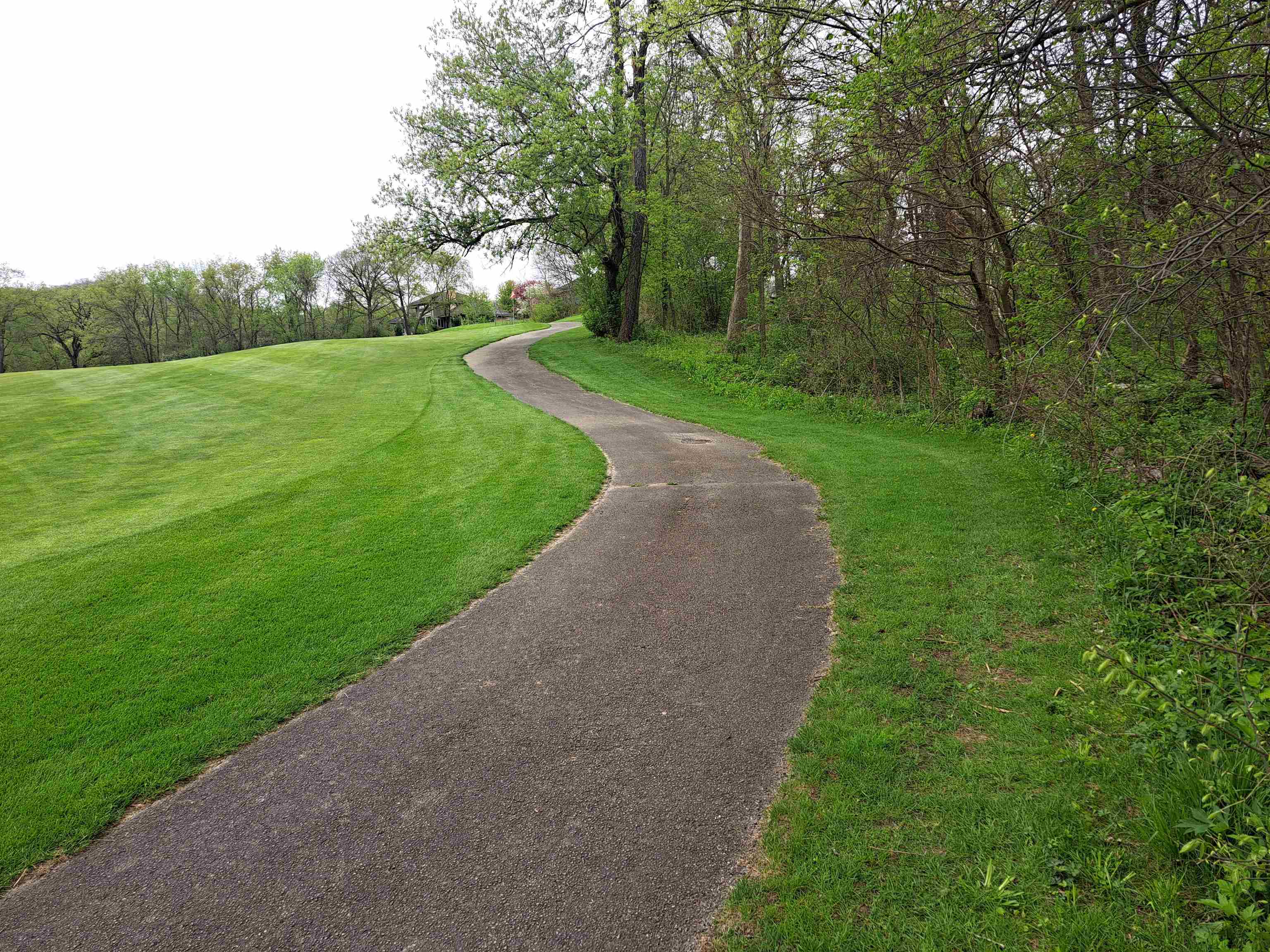 7 Hickory Trail Galena, IL 61036 - Photo 2 of 8