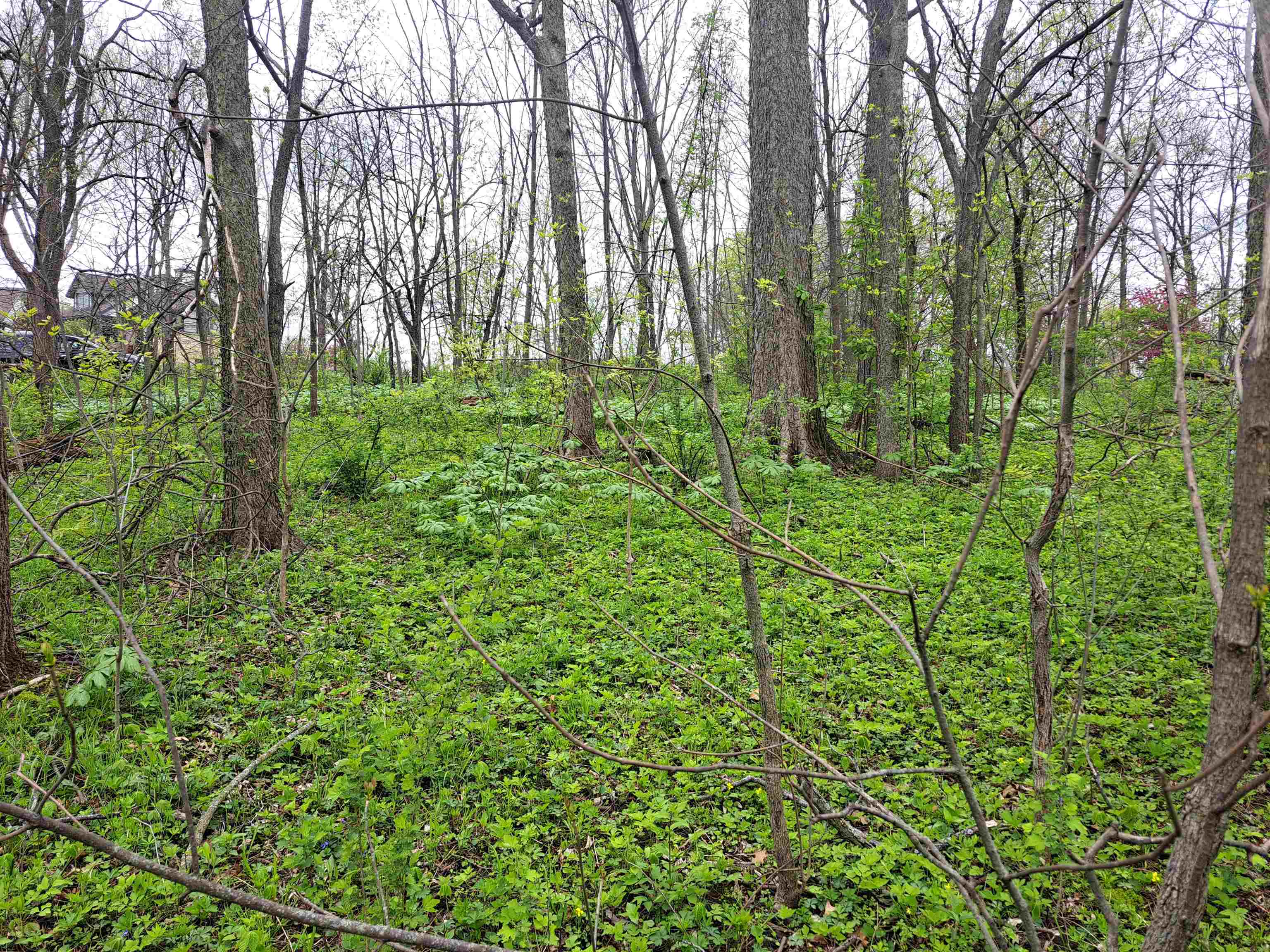 7 Hickory Trail Galena, IL 61036 - Photo 4 of 8