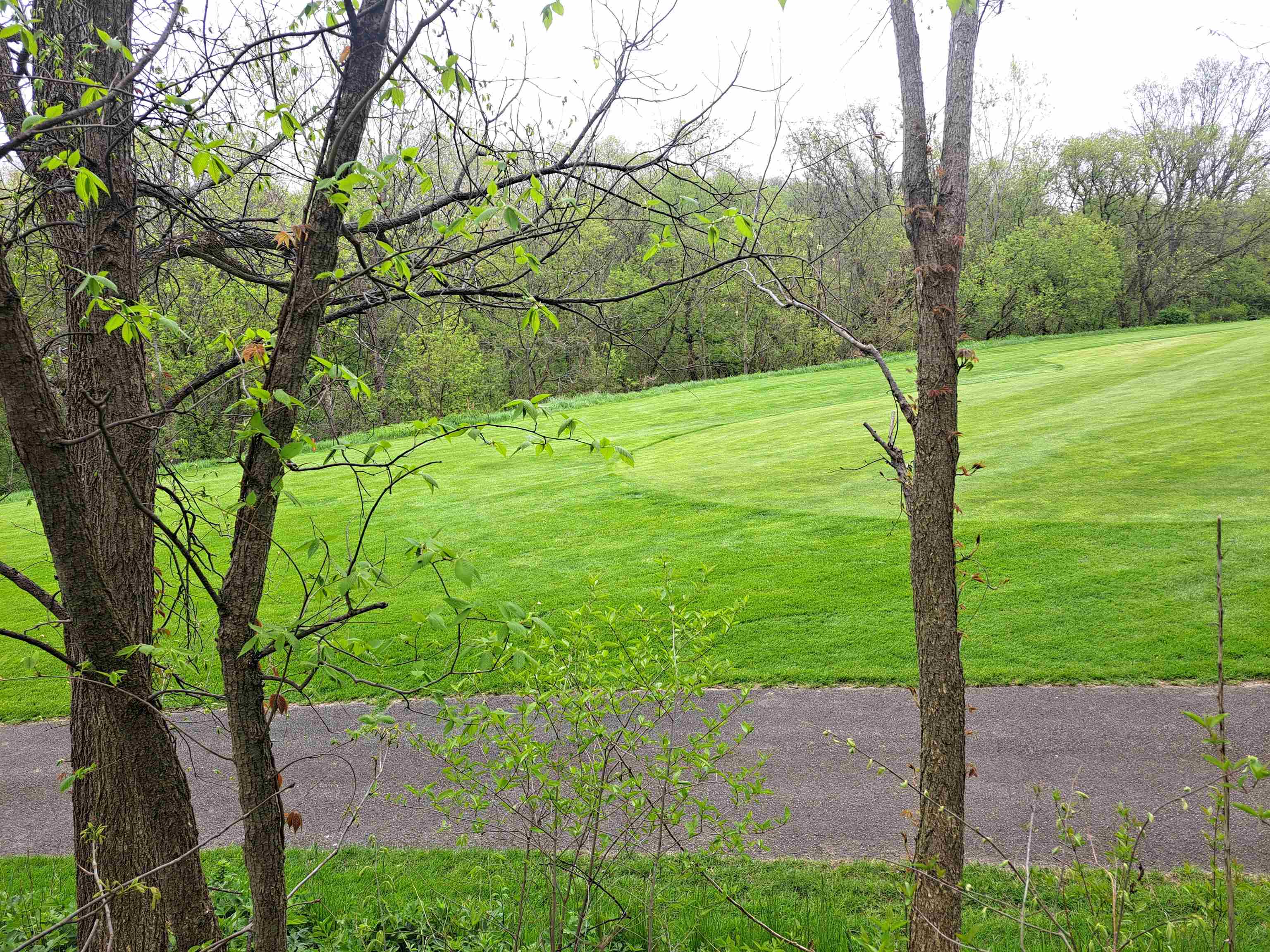 7 Hickory Trail Galena, IL 61036 - Photo 5 of 8