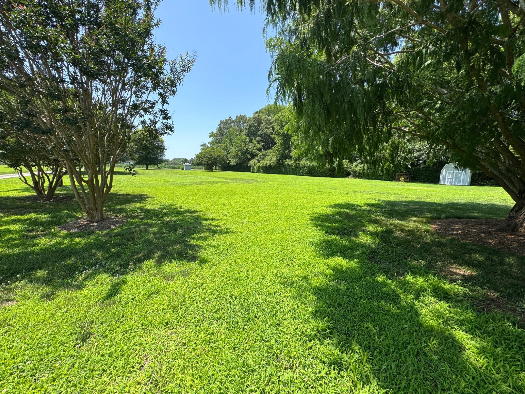 521 Painter Point Road Kilmarnock, VA 22482 - Photo 2 of 52 a view of an outdoor space and a yard