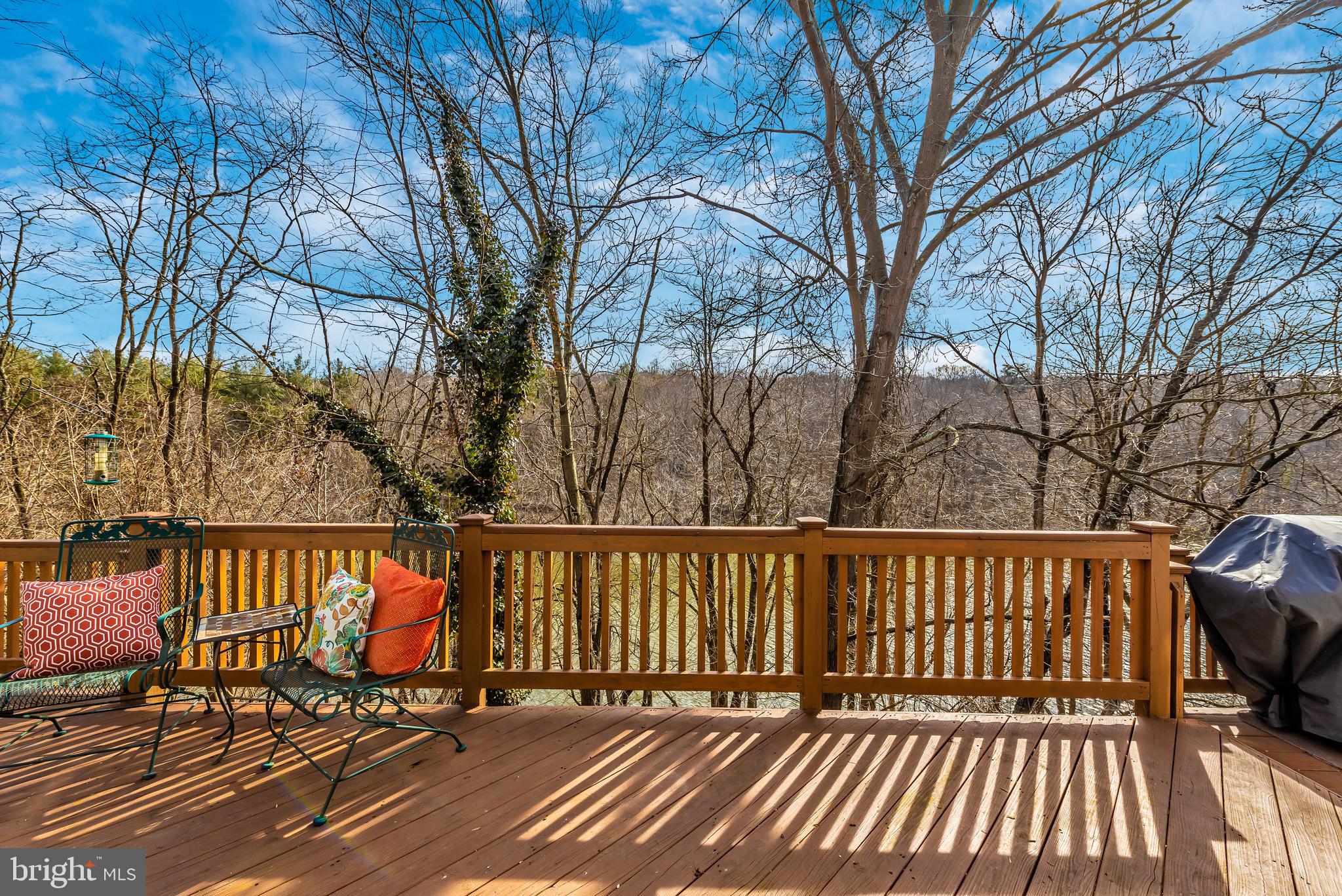 6943 Meadowlake Road New Market, MD 21774 - Photo 46 of 61 Gallery Image 46