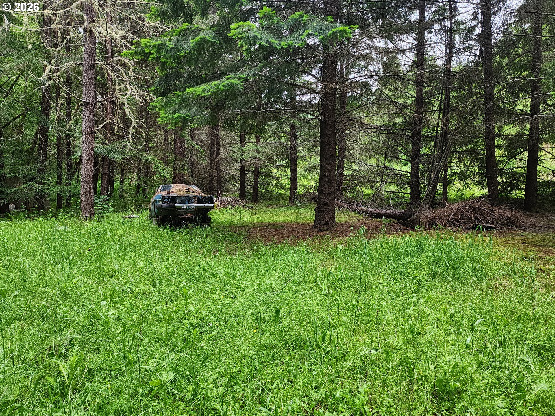 0 Louis Creek Road Myrtle Creek, OR 97457 - Photo 10 of 20