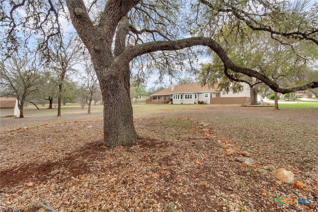 2235 Summit Ridge San Marcos, TX 78666 - Photo 35 of 38 a view of backyard with tree