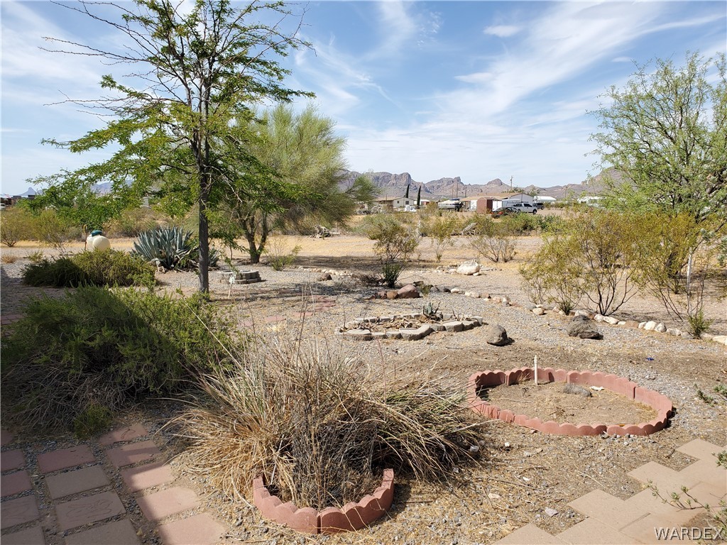 553 South Elfrida Road Golden Valley, AZ 86413 - Photo 8 of 44 Gallery Image 8