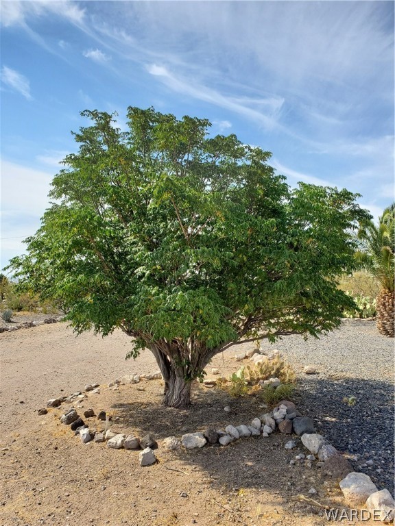 553 South Elfrida Road Golden Valley, AZ 86413 - Photo 9 of 44 Gallery Image 9