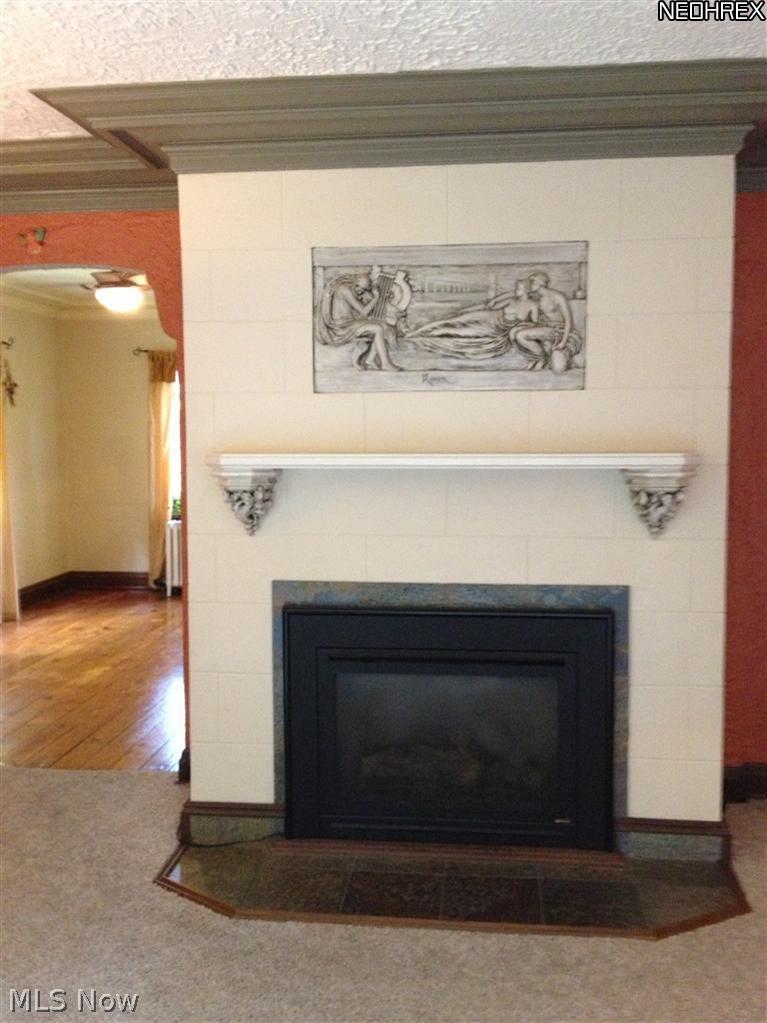 994 Canfield Road Youngstown, OH 44511 - Photo 7 of 14 Beautiful Living Room with lead glass panes, fireplace, and more!