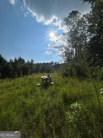 a view of a trees with a yard